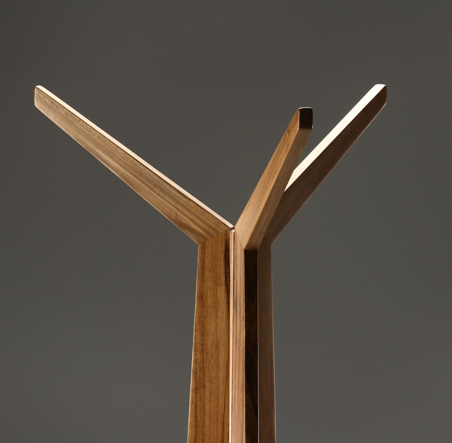 carpinterÃ­a, madera