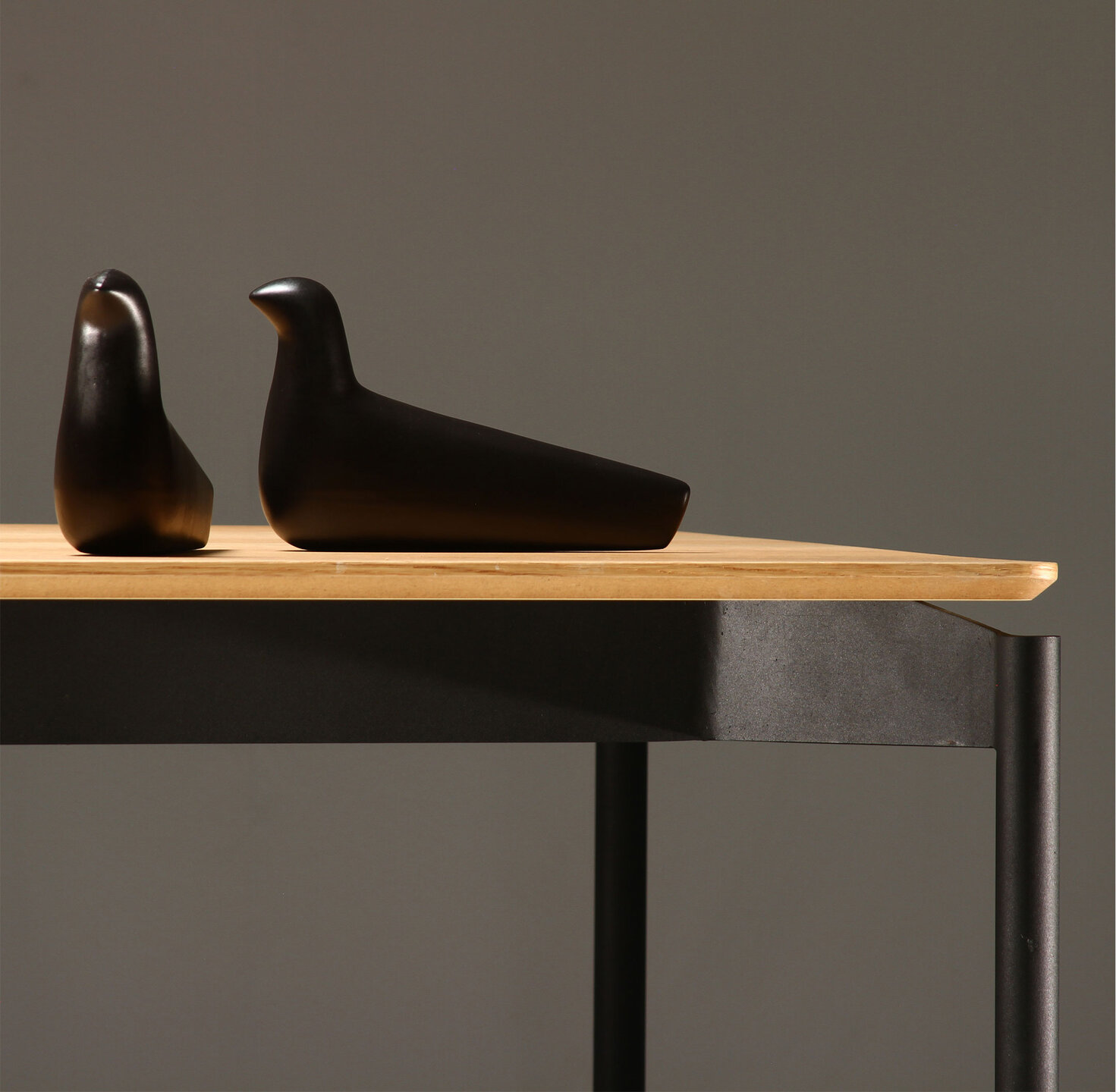 Paloma, pÃ¡jaro, pluma, flora y fauna