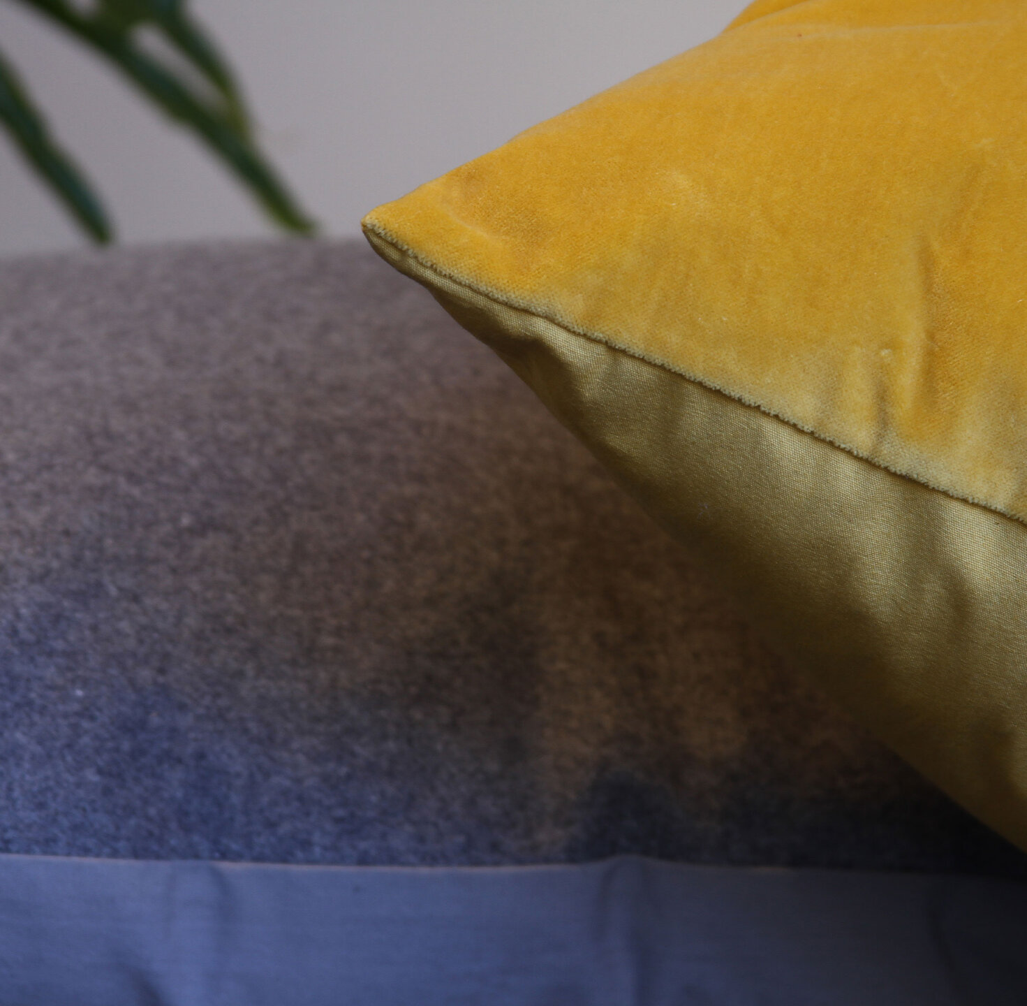 fruta comestible, limÃ³n, cÃ­tricos, alimentos, fruta